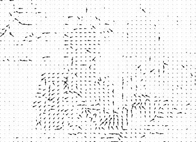 Interframe-Vector-Table